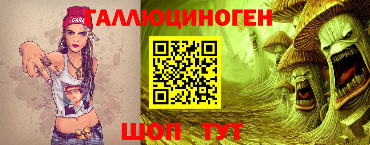 Псилоцибиновые грибы Psilocybine cubensis  Вход с VPN  Лениногорск 