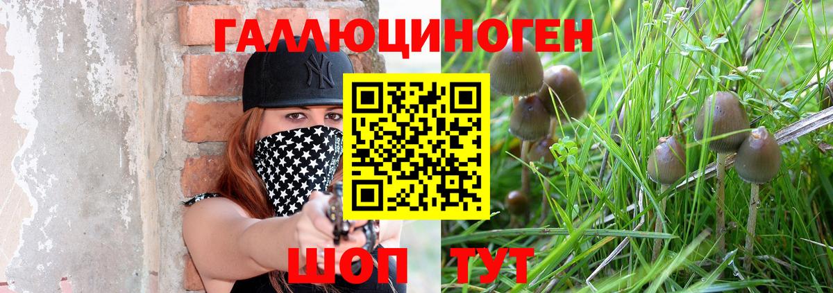 Псилоцибиновые грибы прущие грибы Лениногорск